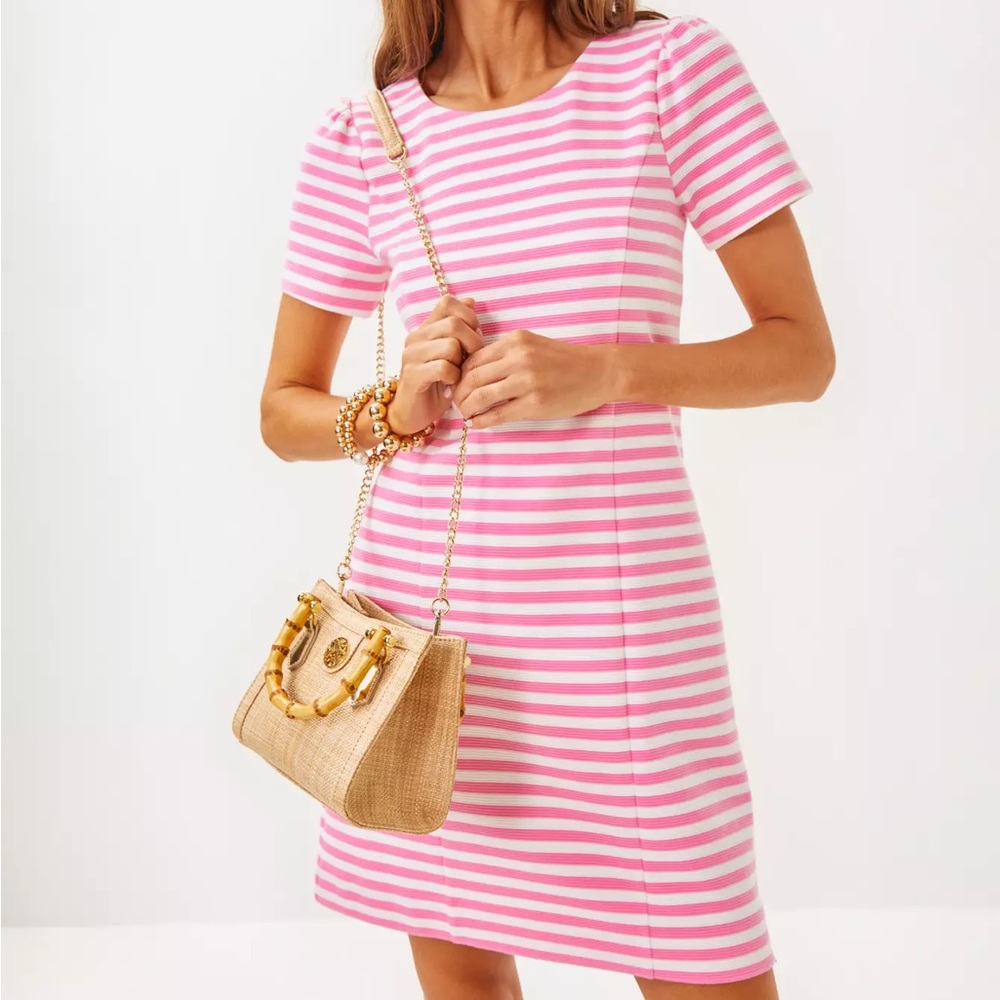 🆕 Lilly Pulitzer Pemberly dress